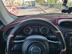 جيب رينيجيد